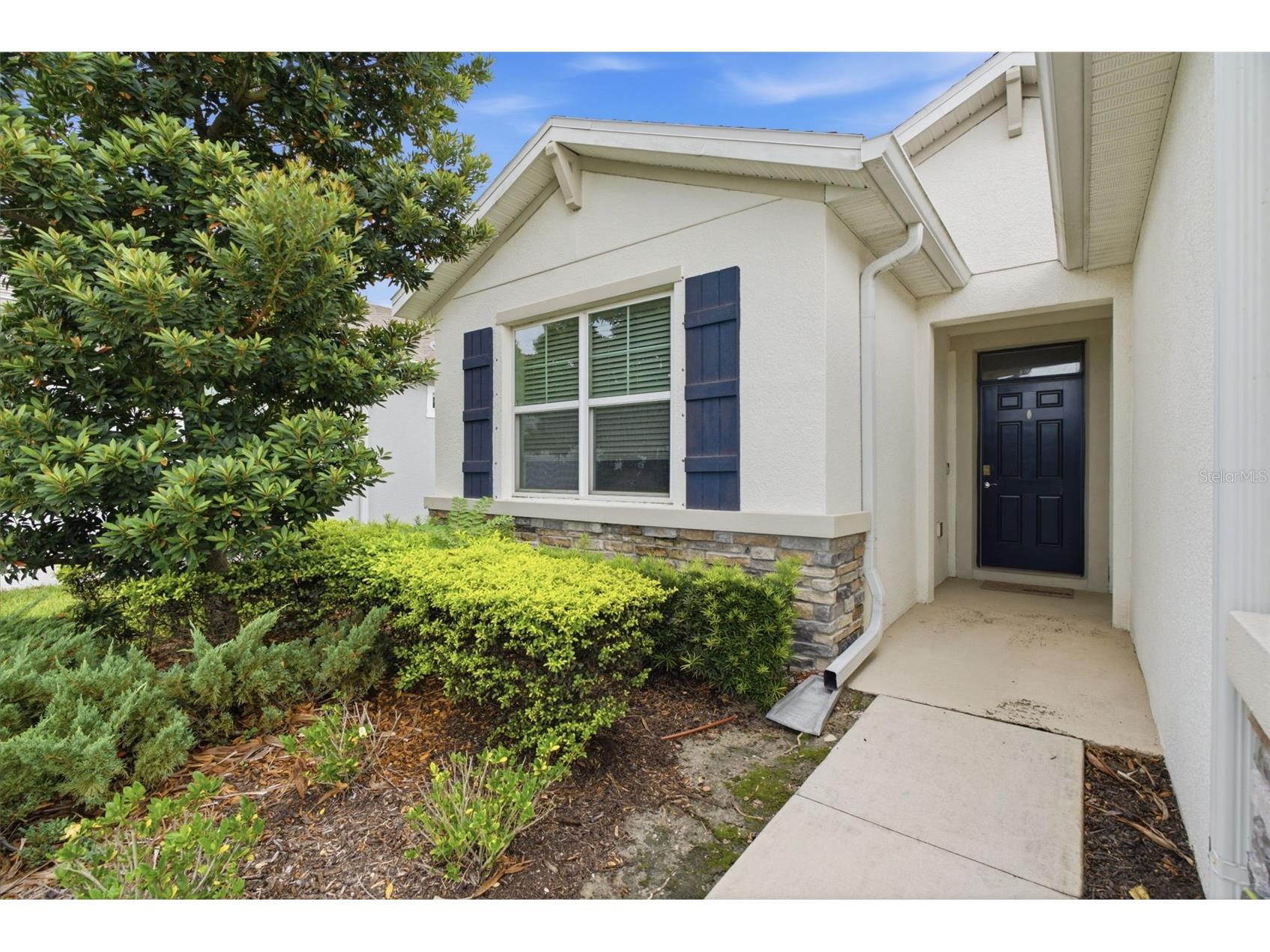 13237 Waterleaf Garden Circle Riverview FL 33579 TB8524402 image5
