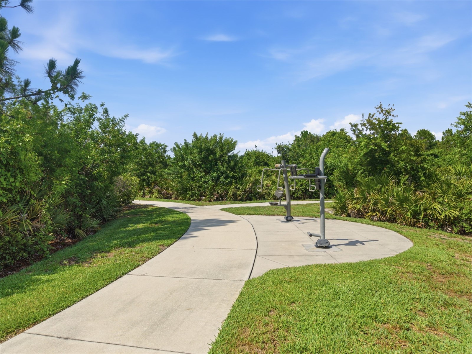 13237 Waterleaf Garden Circle Riverview FL 33579 TB8524402 image67