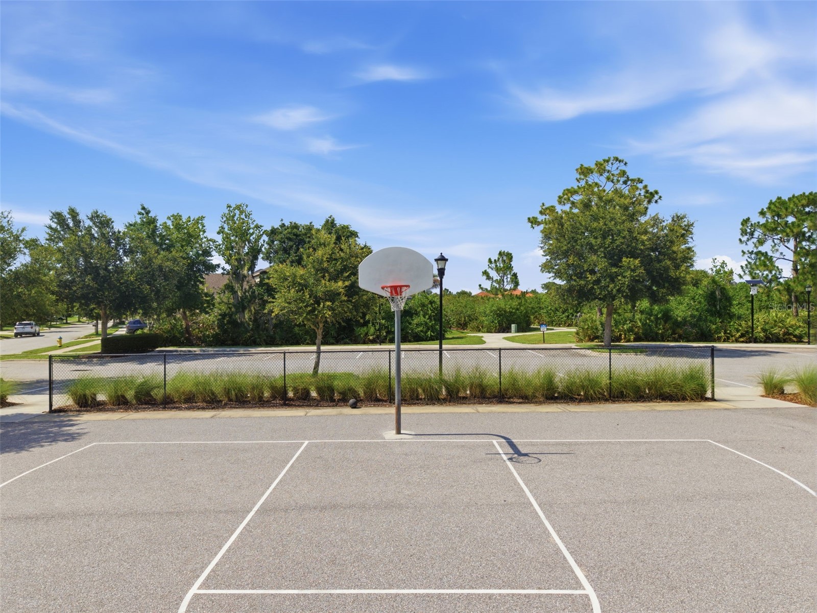 13237 Waterleaf Garden Circle Riverview FL 33579 TB8524402 image69
