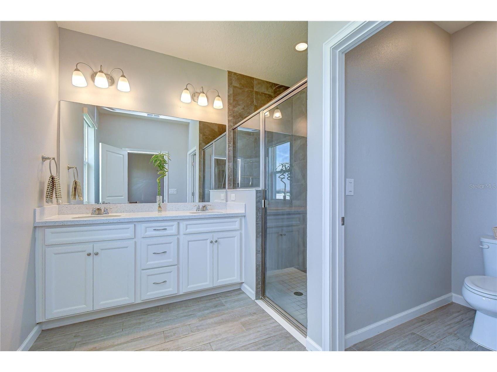 13238 Baby Belle Drive Riverview FL 33579 TB8512394 image16