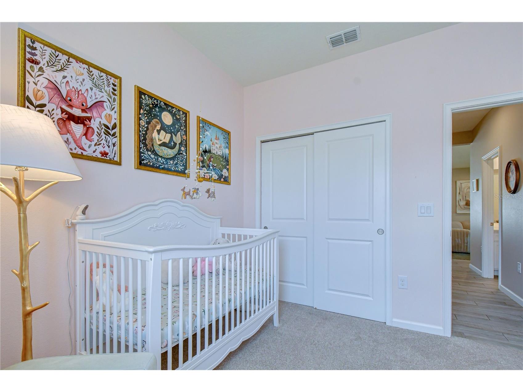 13238 Baby Belle Drive Riverview FL 33579 TB8512394 image18