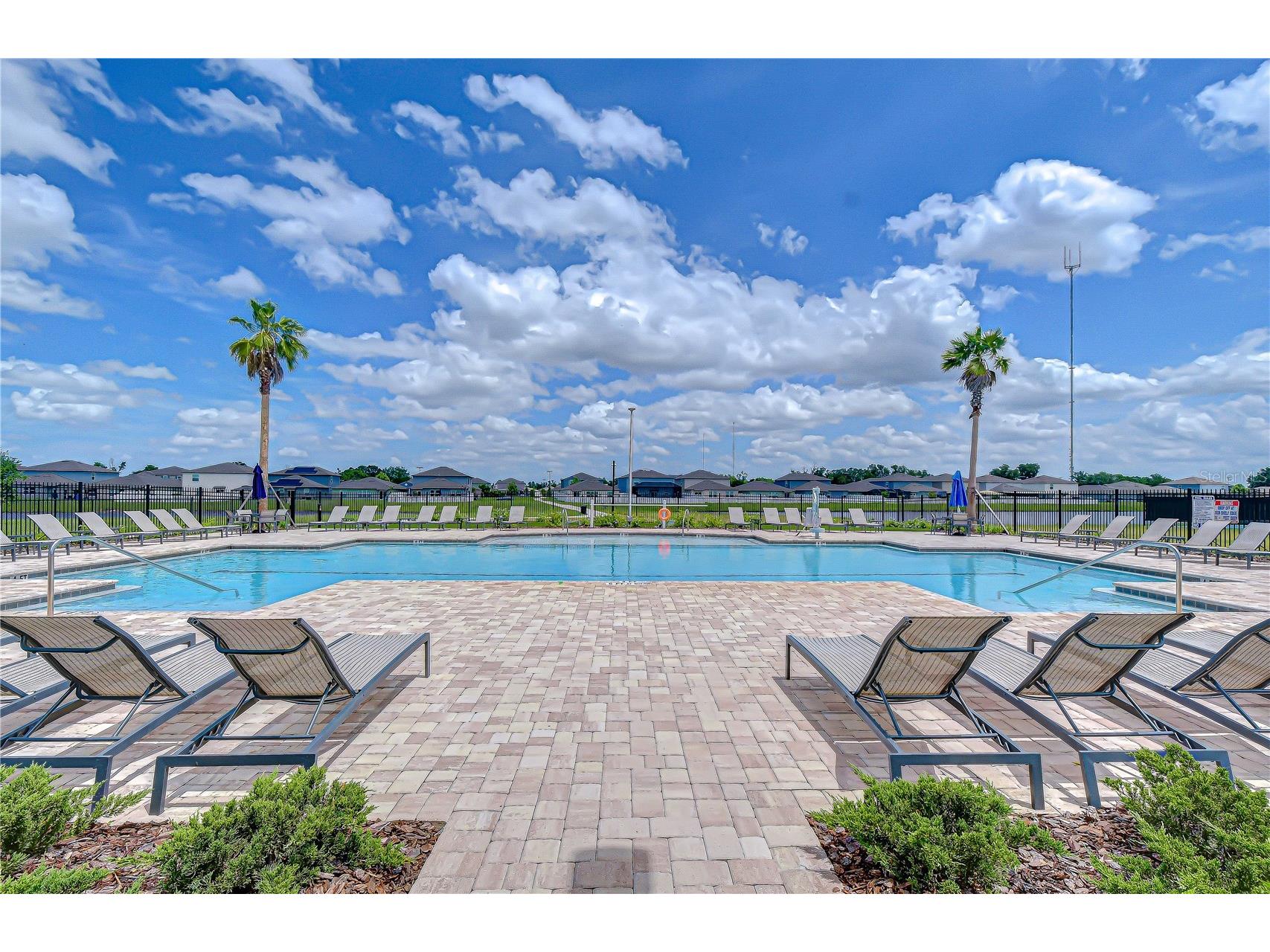 13238 Baby Belle Drive Riverview FL 33579 TB8512394 image27