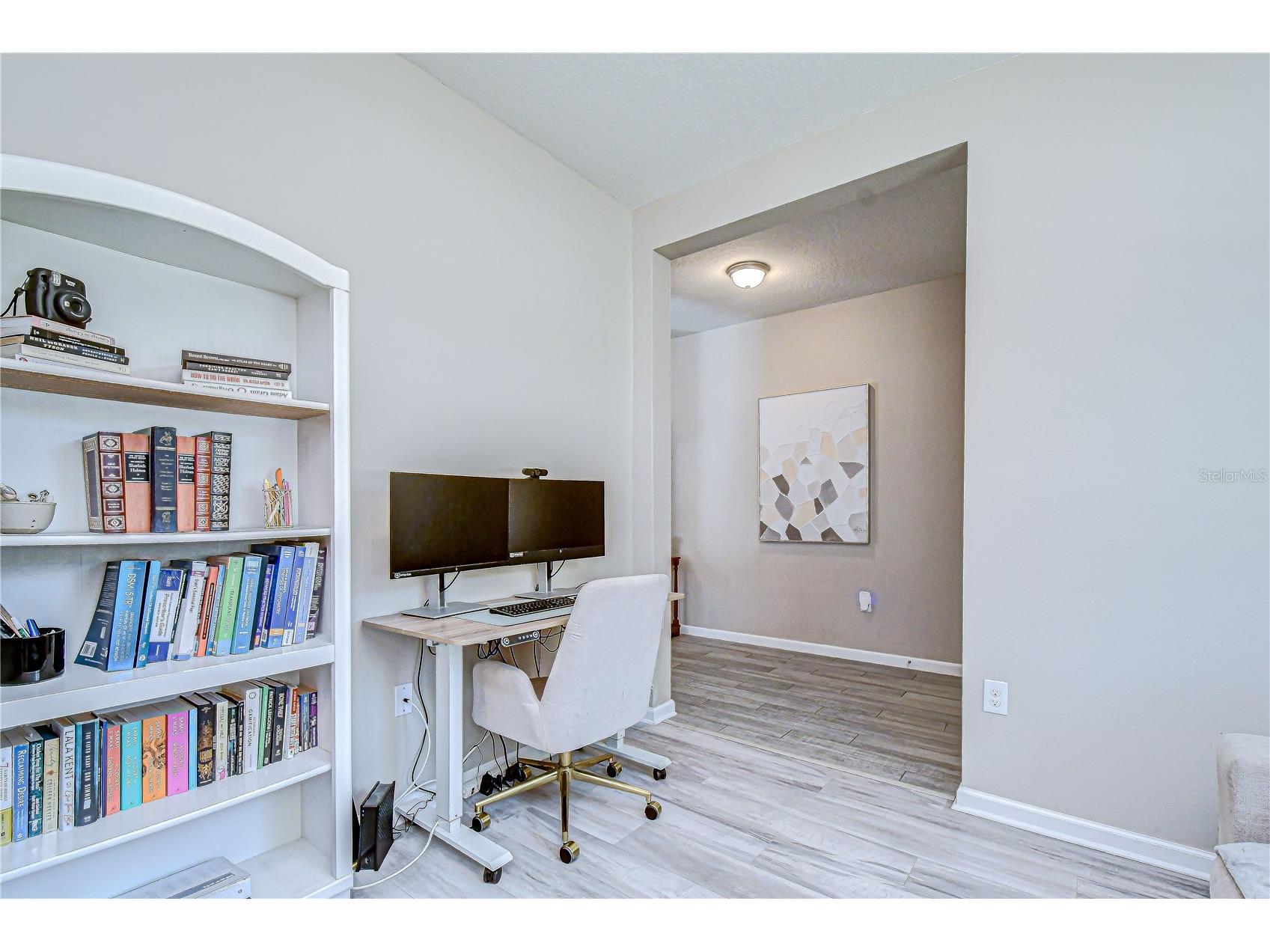 13238 Baby Belle Drive Riverview FL 33579 TB8512394 image6