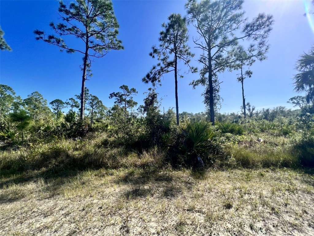 13238 Cannes Drive Punta Gorda FL 33955 C7496904 image3