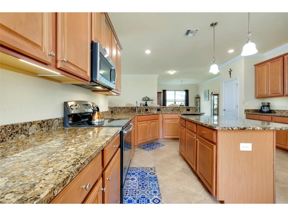 13238 Famiglia Drive Venice FL 34293 N6137143 image11