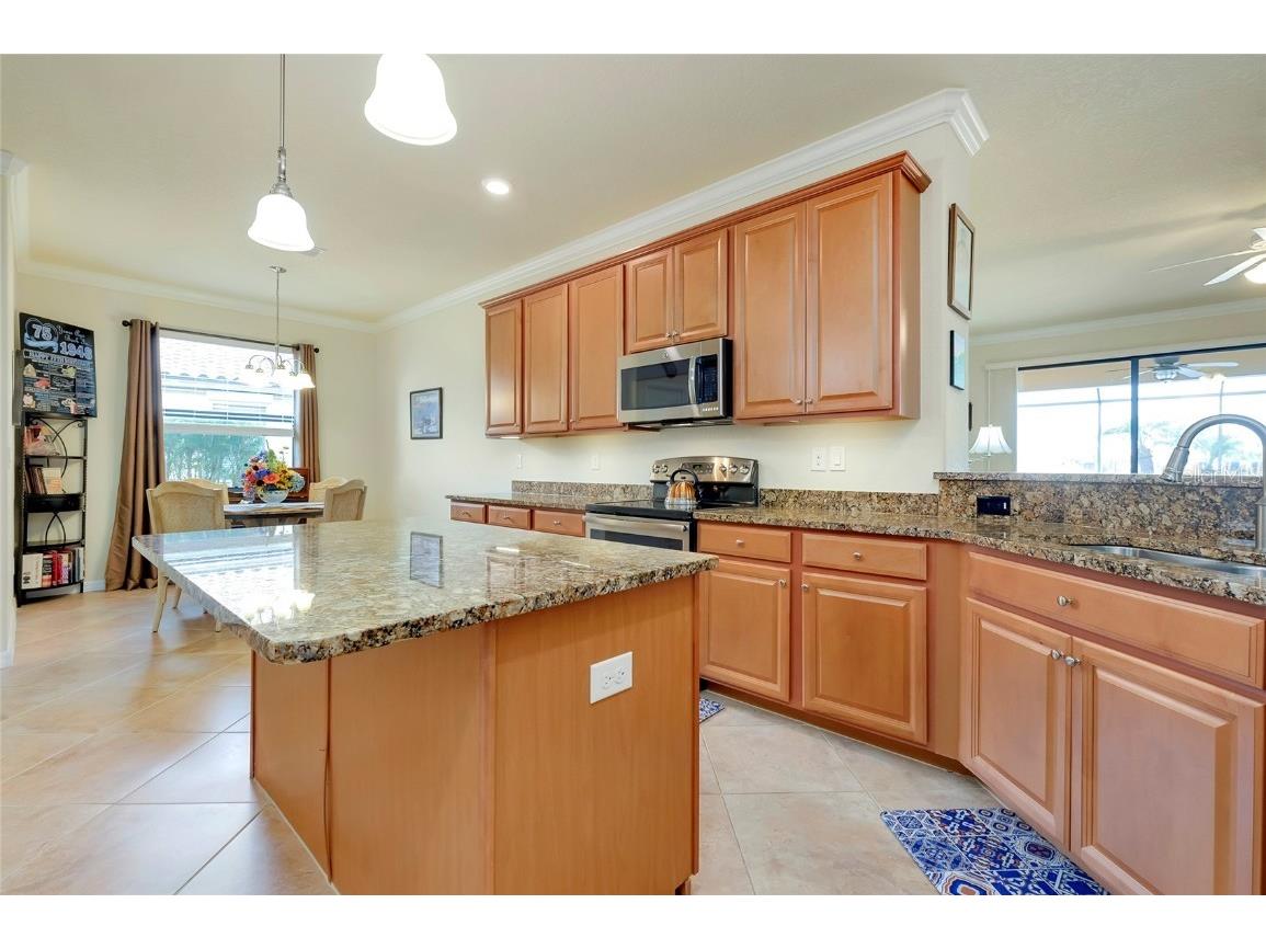 13238 Famiglia Drive Venice FL 34293 N6137143 image14