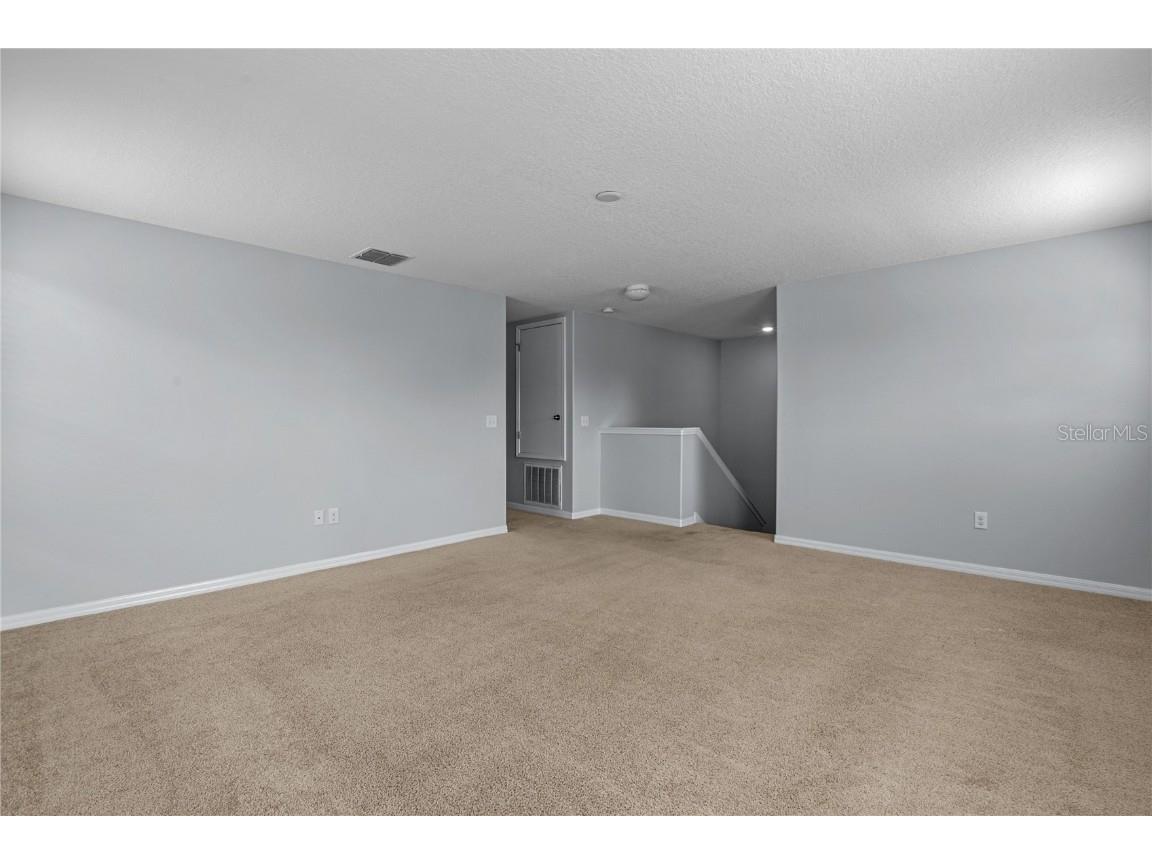 13238 Wellington Hills Drive Riverview FL 33579 TB8432722 image21