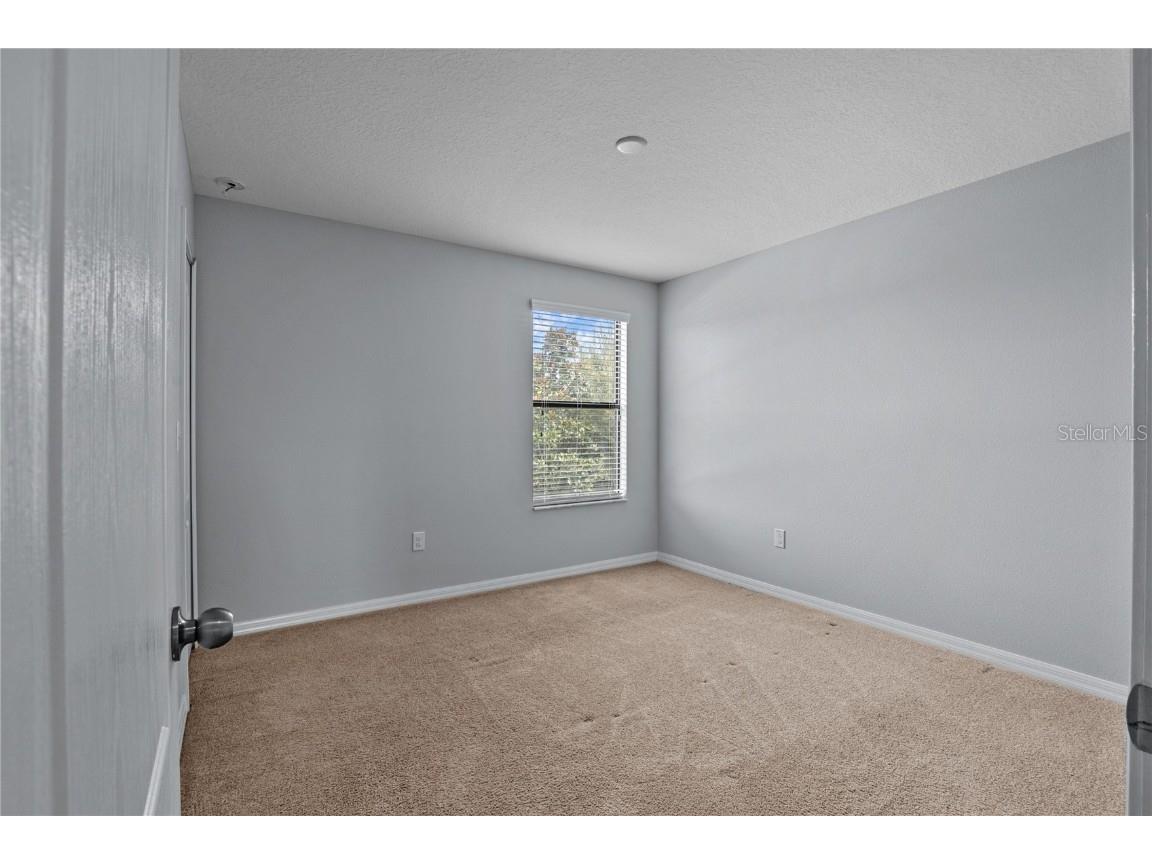 13238 Wellington Hills Drive Riverview FL 33579 TB8432722 image24