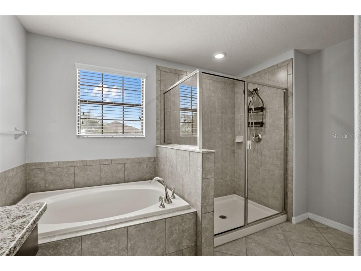 13238 Wellington Hills Drive Riverview FL 33579 TB8432722 image28