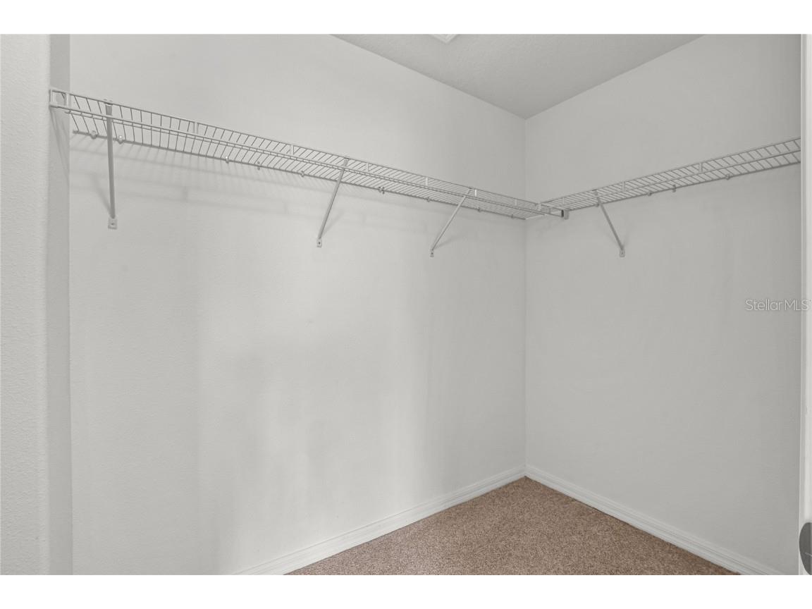 13238 Wellington Hills Drive Riverview FL 33579 TB8432722 image29