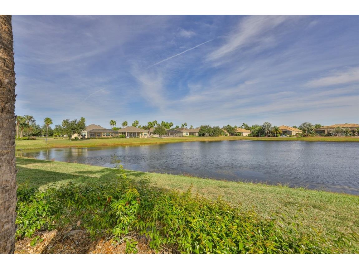 1324 Emerald Dunes Drive Sun City Center FL 33573 TB8454872 image44