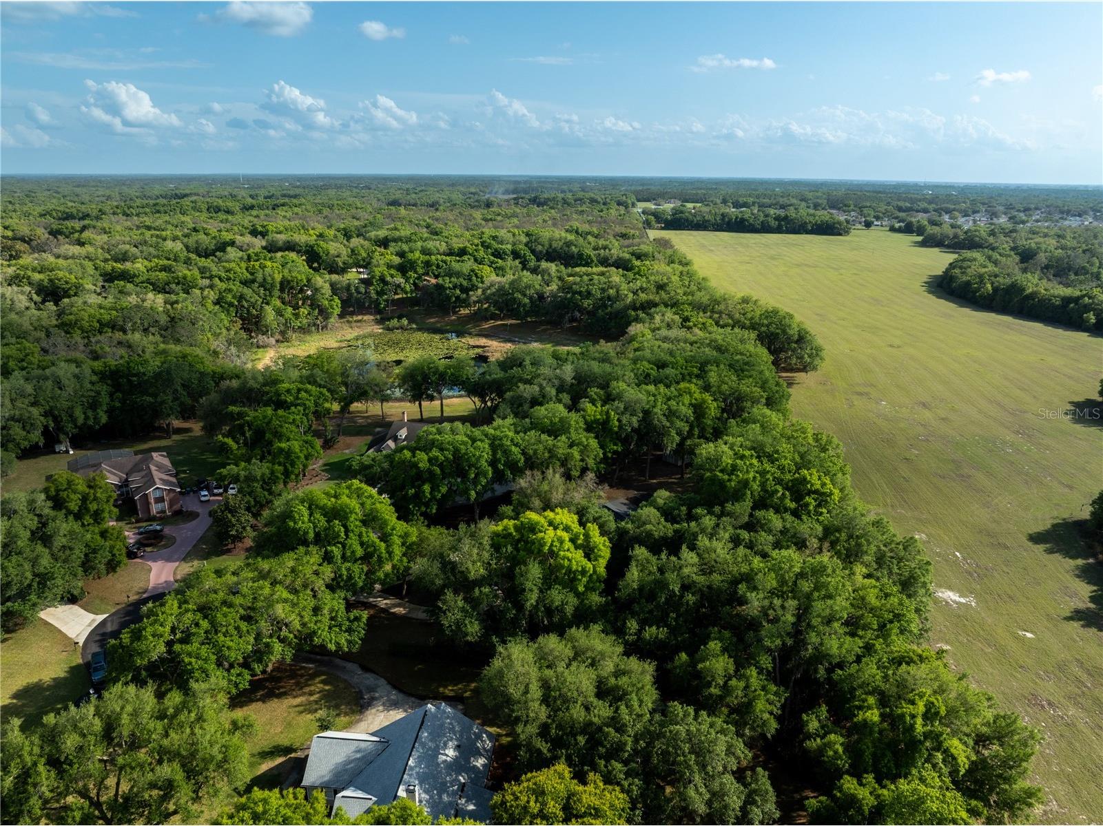 1324 Otters View Court Fruitland Park FL 34731 G5110259 image55