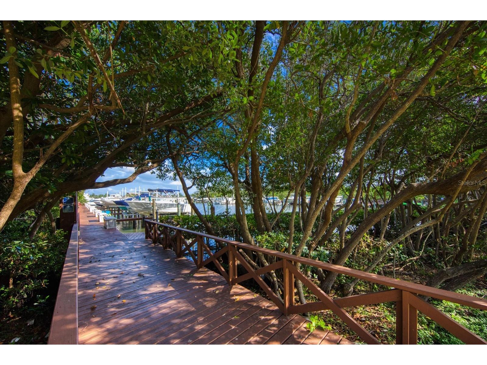 1324 Pasadena Avenue S #204 South Pasadena FL 33707 TB8520147 image35