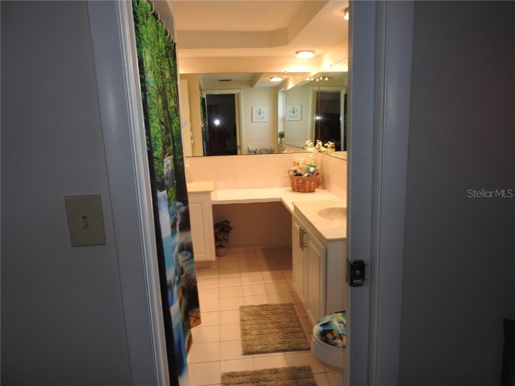 1324 Viking Drive Holiday FL 34691 TB8458025 image23