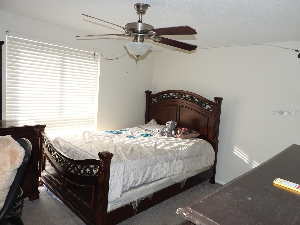 1324 Viking Drive Holiday FL 34691 TB8458025 image27