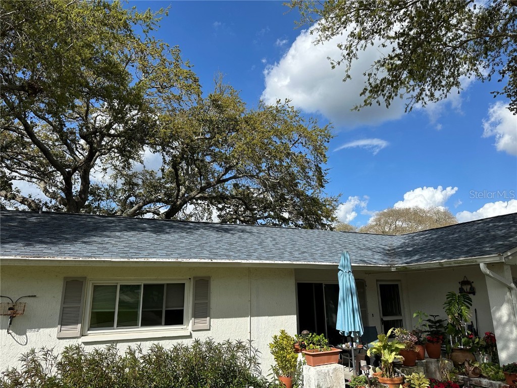 1324 Woodstock Drive Palm Harbor FL 34684 T3513826 image1