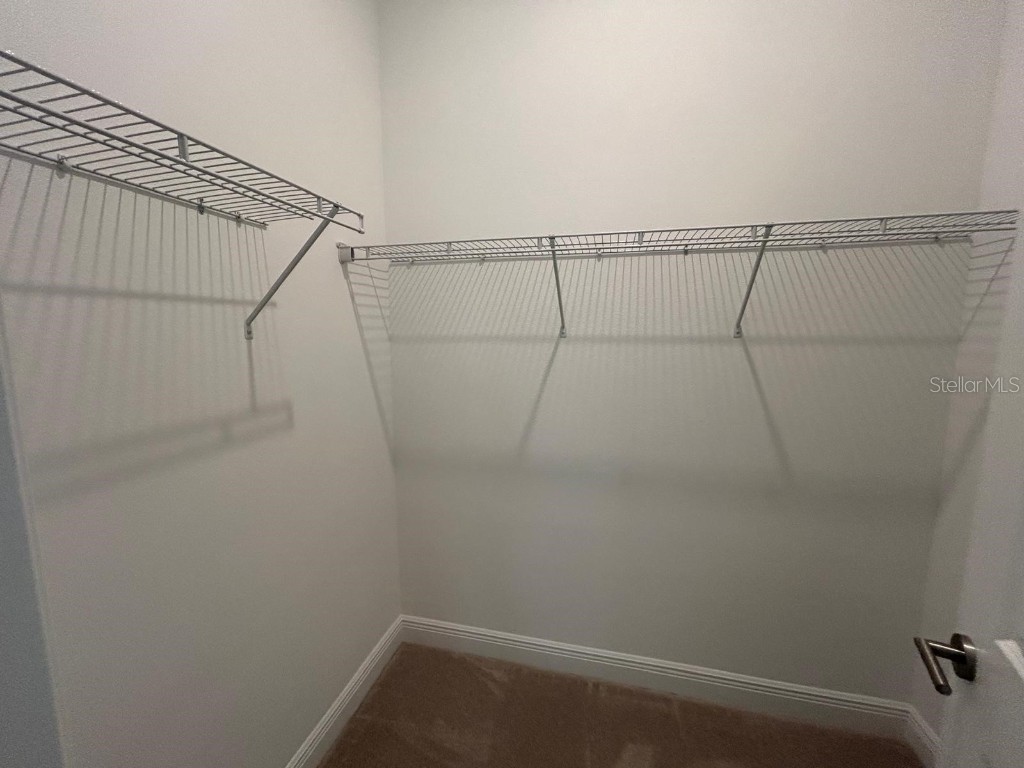 13241 Tollcross Way Winter Garden FL 34787 O6361758 image23