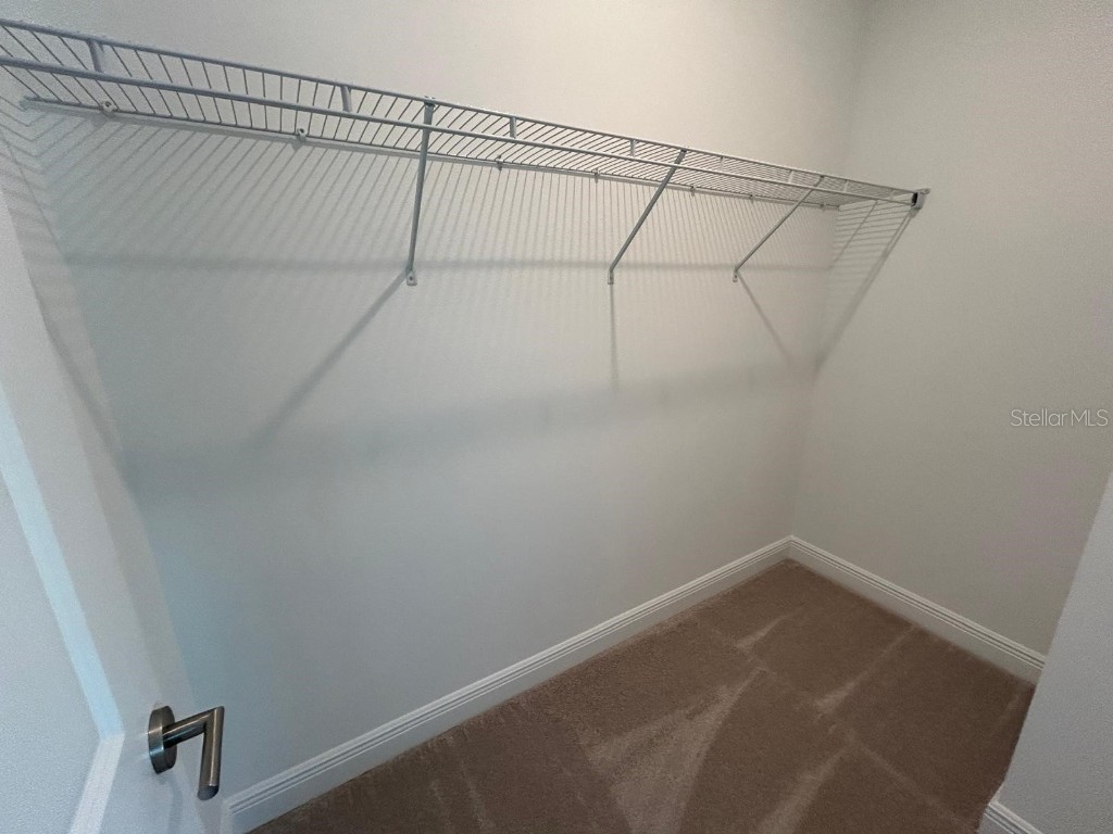 13241 Tollcross Way Winter Garden FL 34787 O6361758 image36