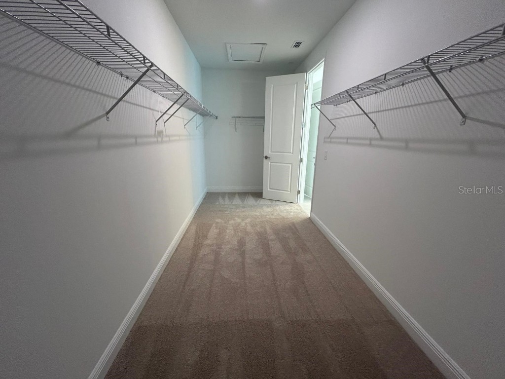 13241 Tollcross Way Winter Garden FL 34787 O6361758 image43