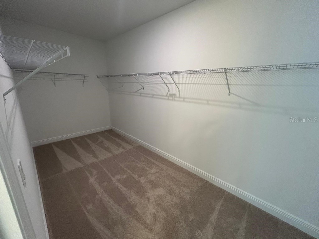 13241 Tollcross Way Winter Garden FL 34787 O6361758 image44