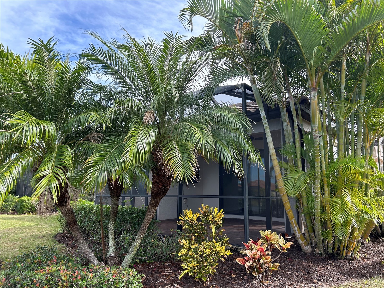13241 Torresina Terrace Bradenton FL 34211 A4689001 image5