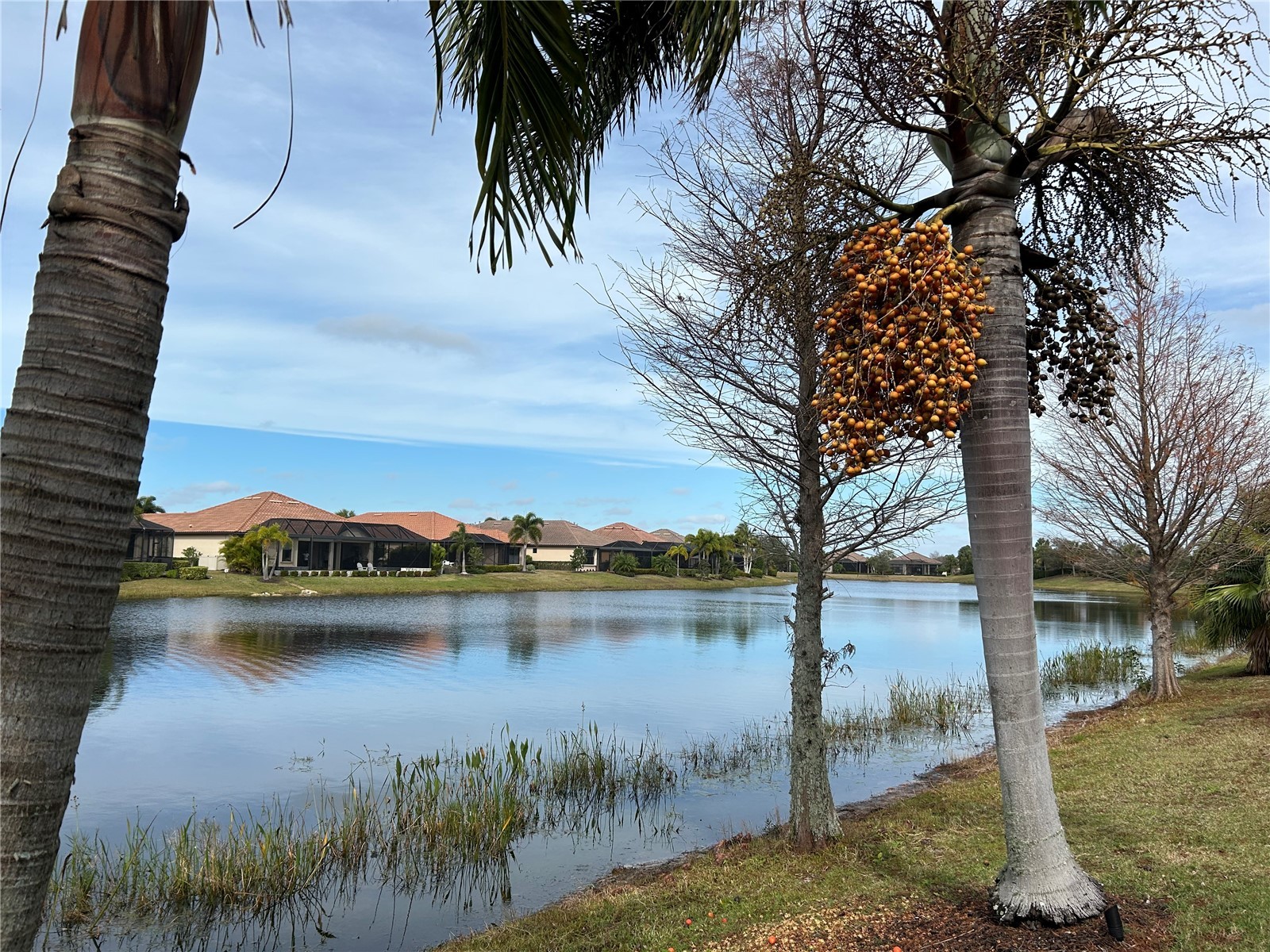 13241 Torresina Terrace Bradenton FL 34211 A4689001 image8