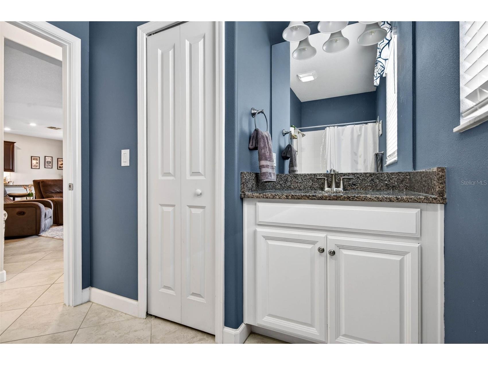 13242 Satin Lily Drive Riverview FL 33579 TB8514777 image30