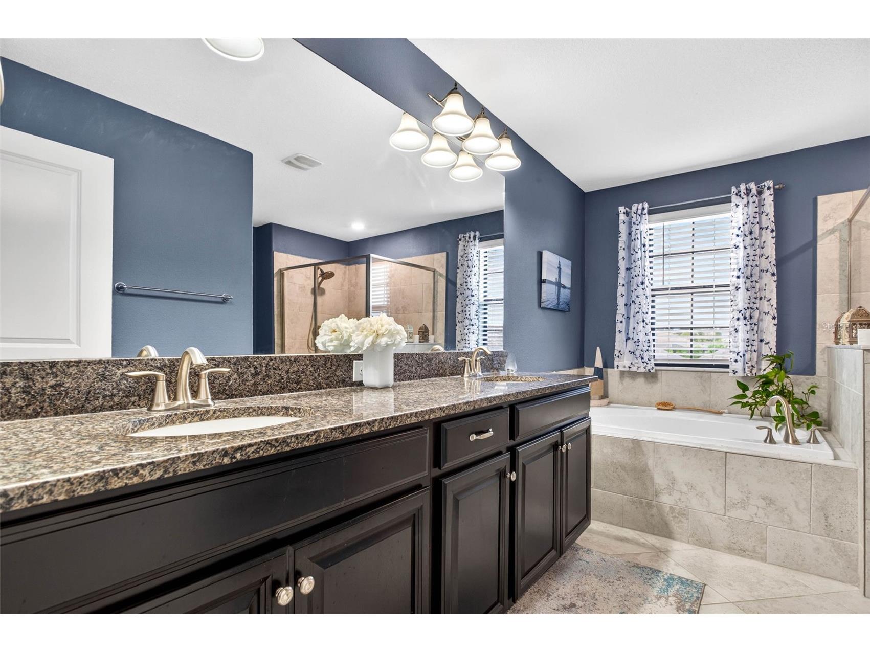 13242 Satin Lily Drive Riverview FL 33579 TB8514777 image36