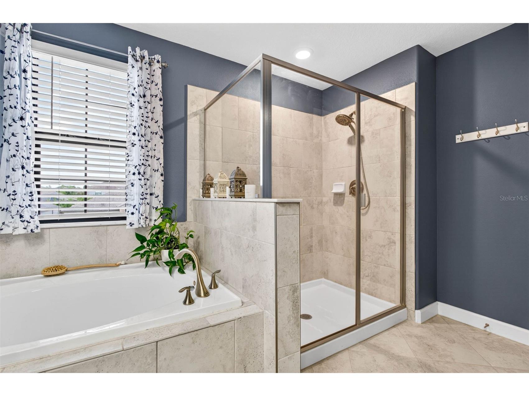 13242 Satin Lily Drive Riverview FL 33579 TB8514777 image37