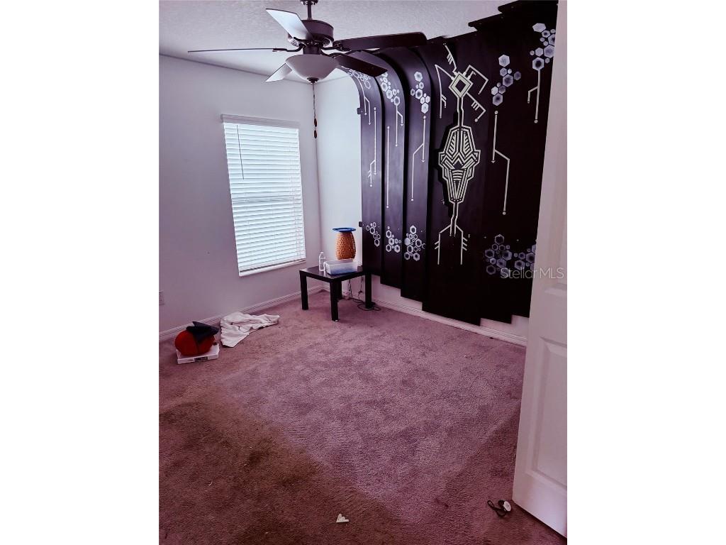 13243 Great Plains Drive Riverview FL 33579 TB8443146 image14