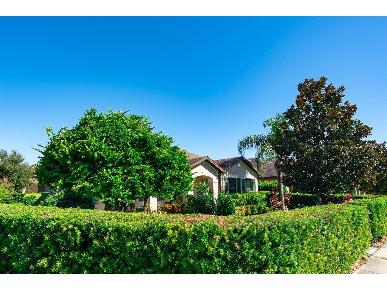 13243 Overstreet Road Windermere FL 34786 S5143317 image4