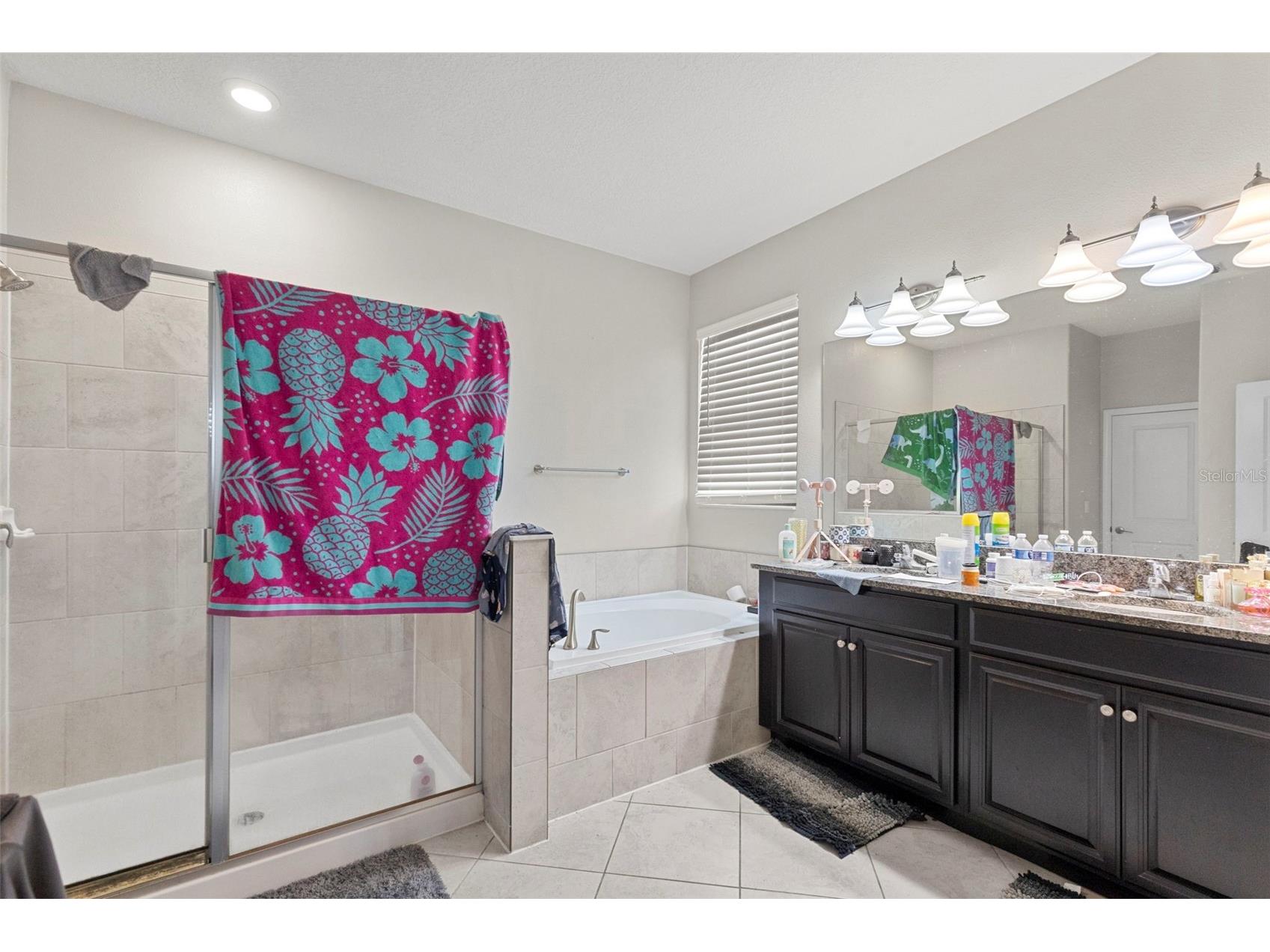 13244 Satin Lily Drive Riverview FL 33579 TB8527519 image10