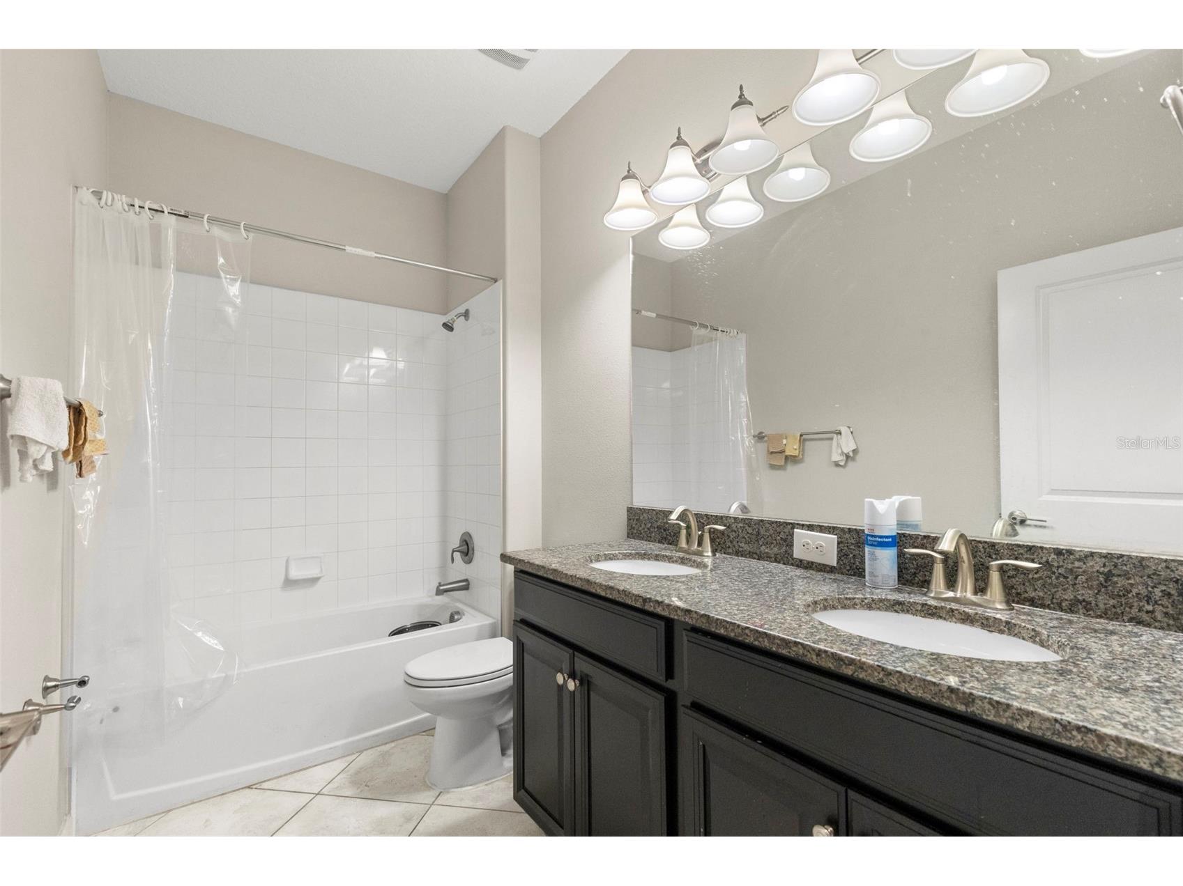 13244 Satin Lily Drive Riverview FL 33579 TB8527519 image15