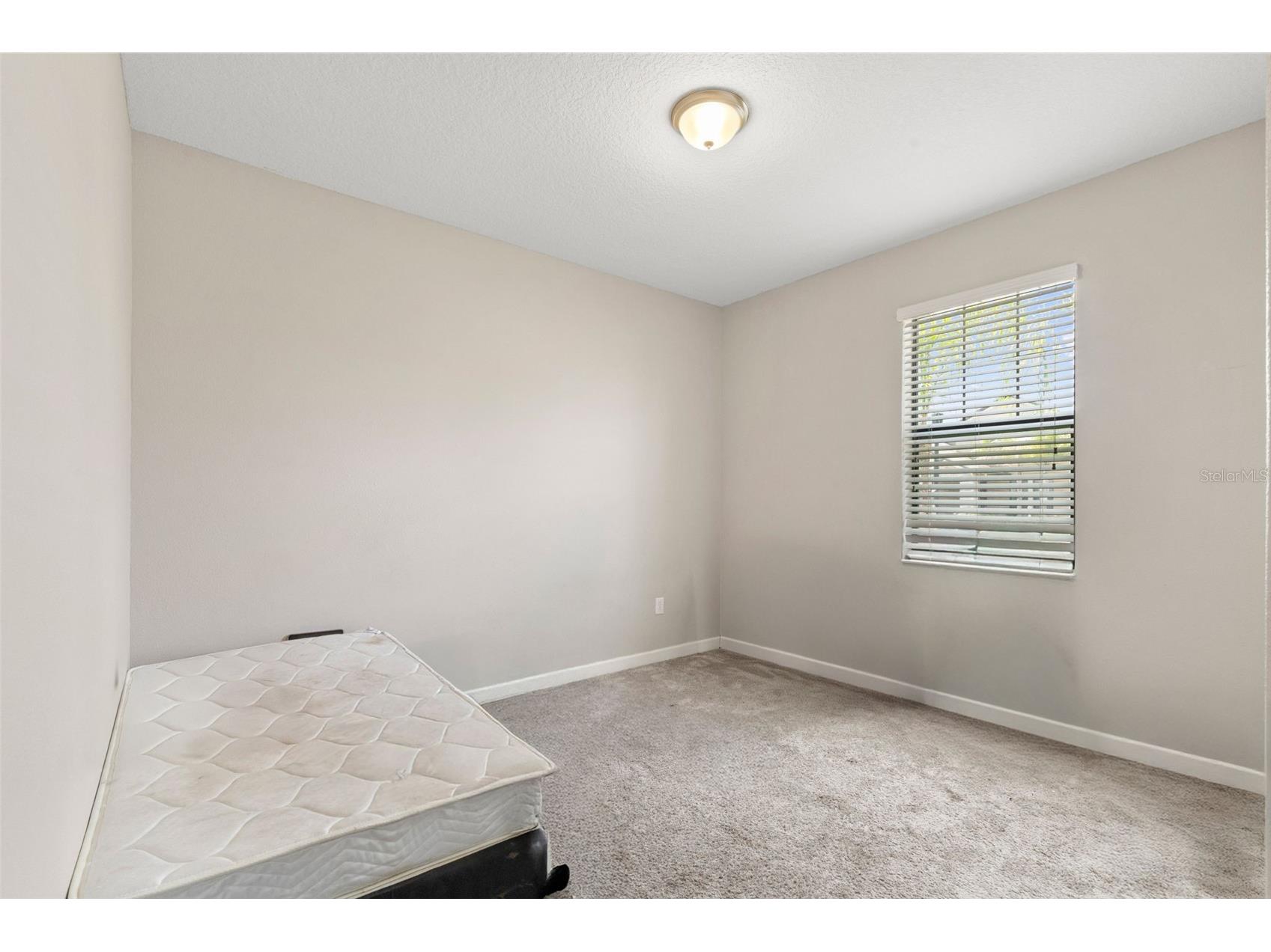 13244 Satin Lily Drive Riverview FL 33579 TB8527519 image18