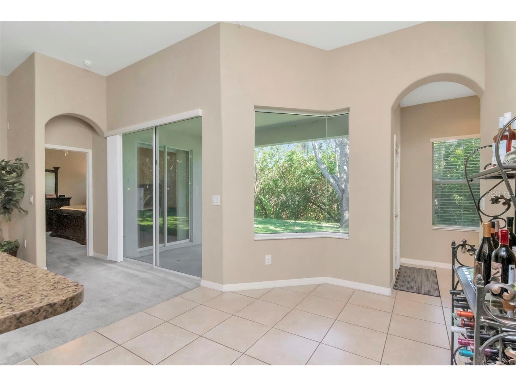 13247 Graham Yarden Drive Riverview FL 33579 TB8506162 image10