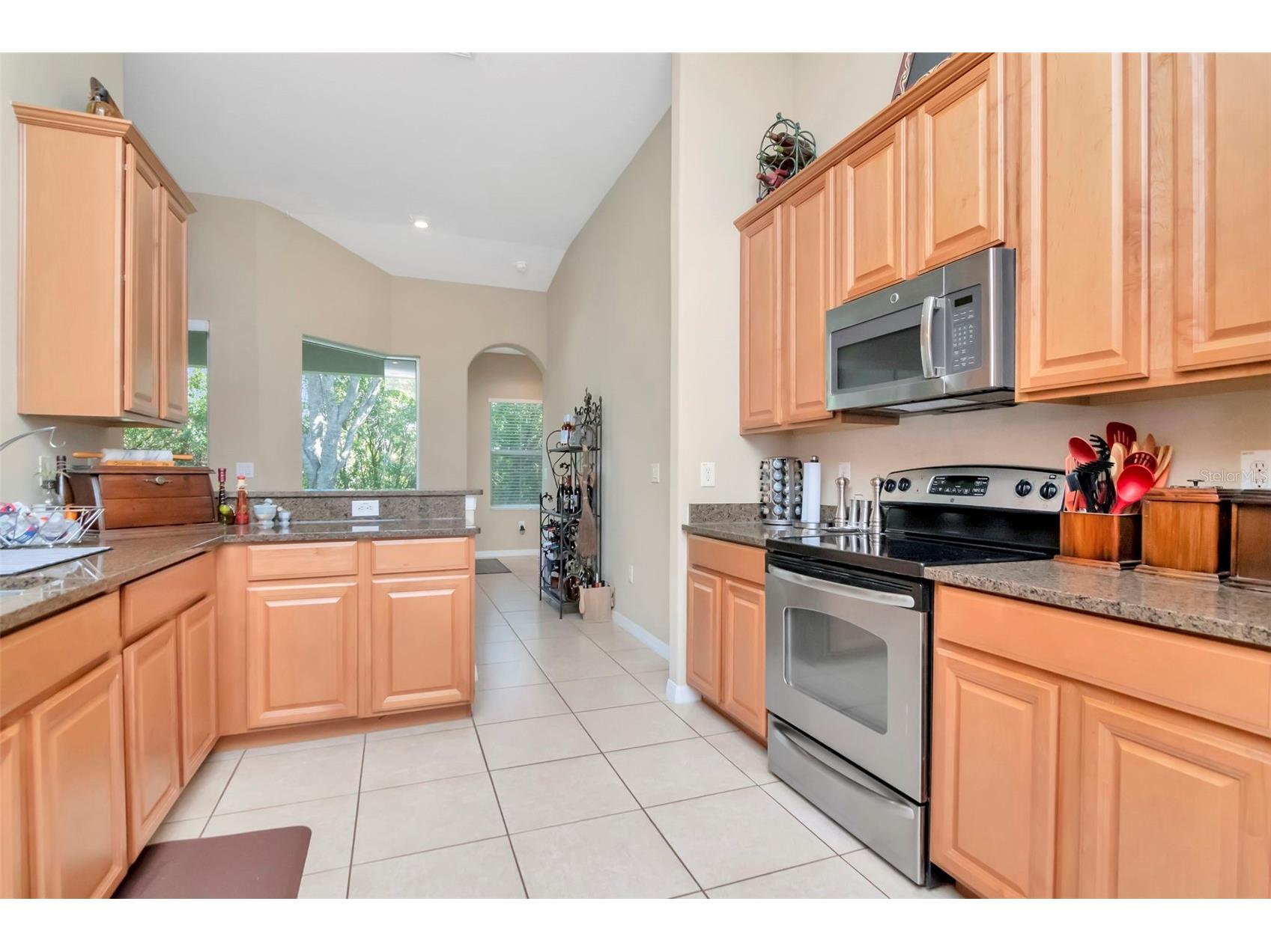 13247 Graham Yarden Drive Riverview FL 33579 TB8506162 image11