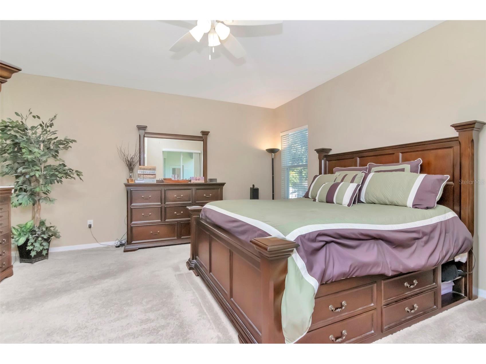 13247 Graham Yarden Drive Riverview FL 33579 TB8506162 image12