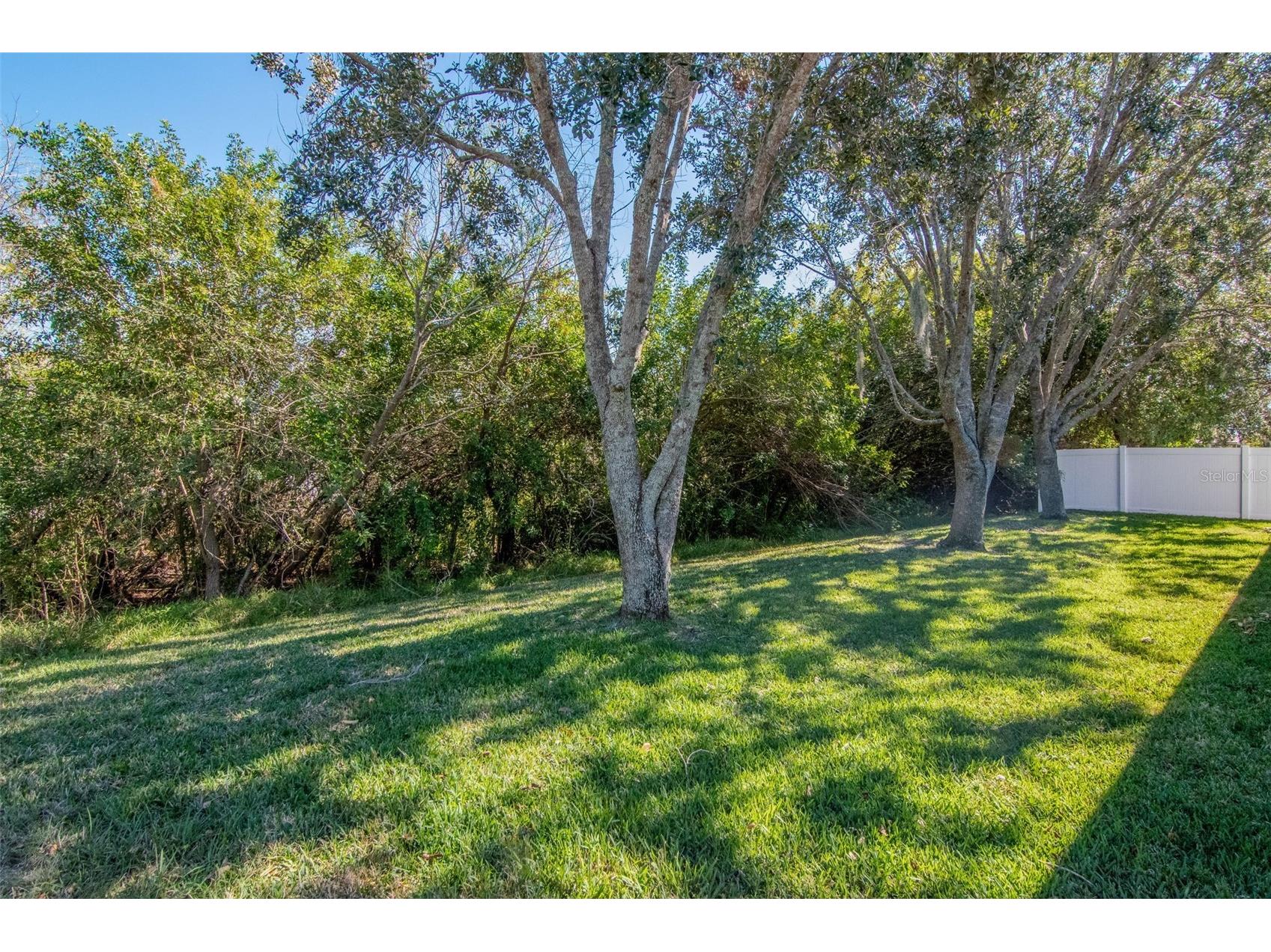 13247 Graham Yarden Drive Riverview FL 33579 TB8506162 image18