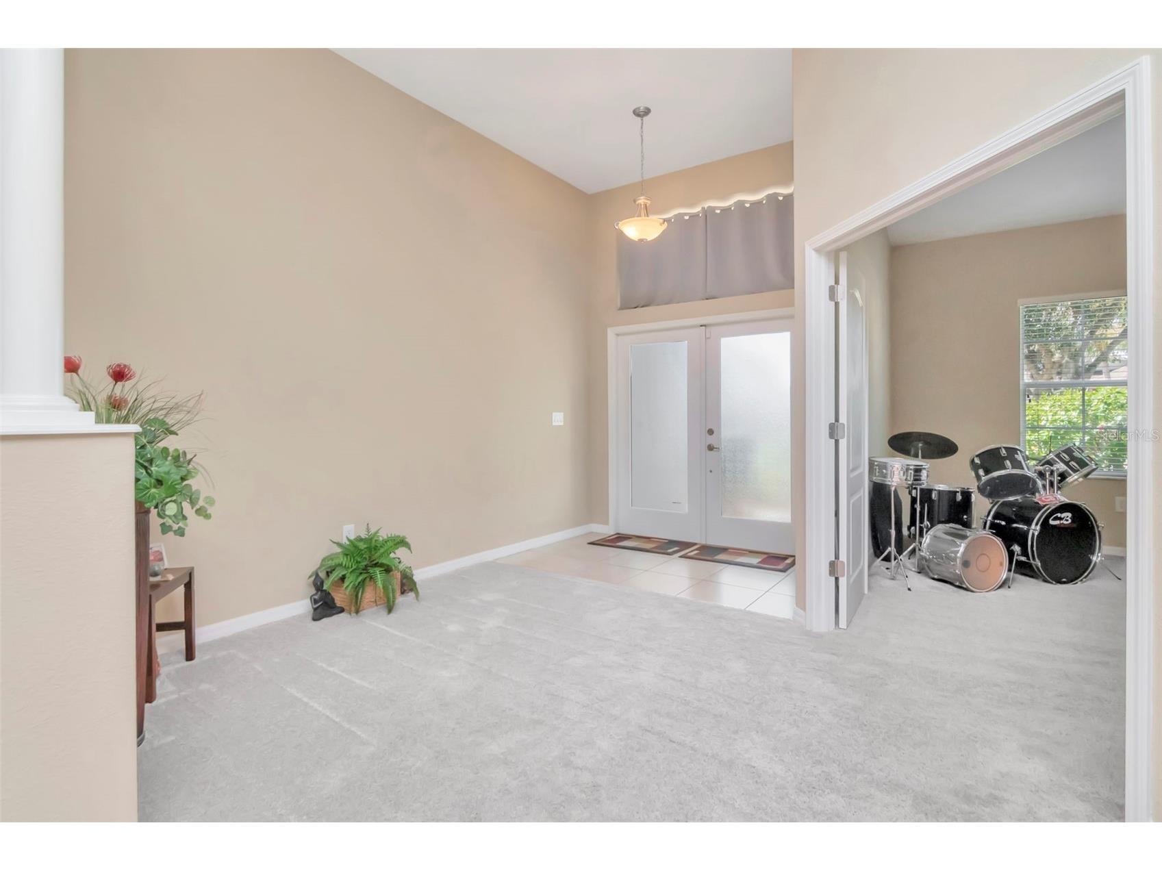 13247 Graham Yarden Drive Riverview FL 33579 TB8506162 image3