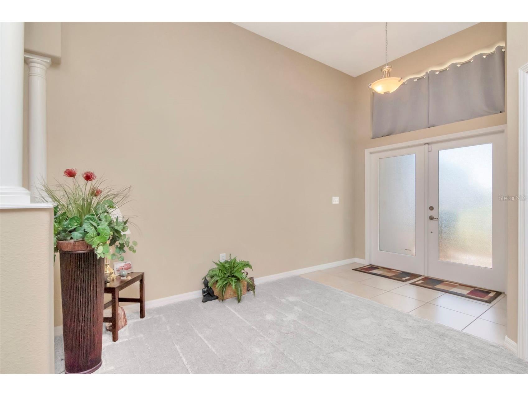 13247 Graham Yarden Drive Riverview FL 33579 TB8506162 image4