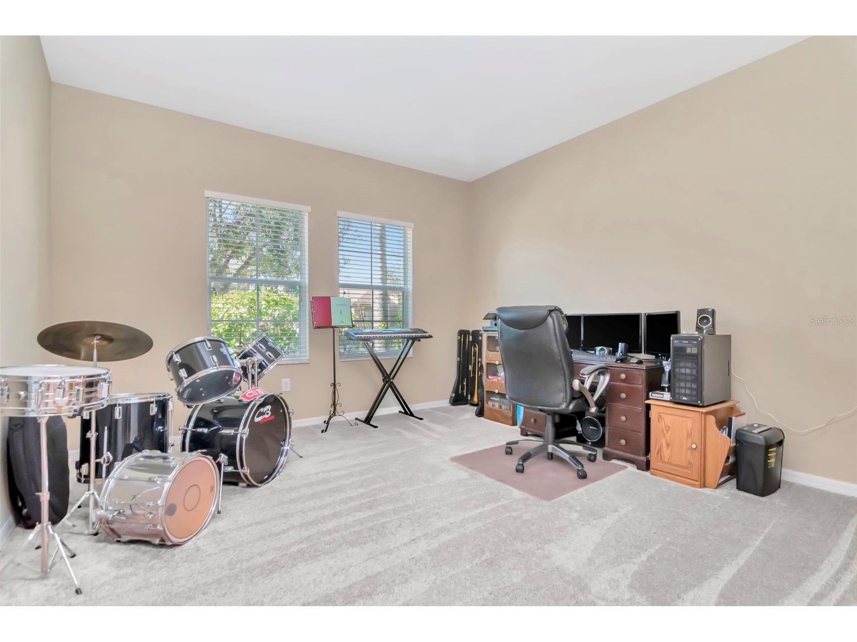 13247 Graham Yarden Drive Riverview FL 33579 TB8506162 image5