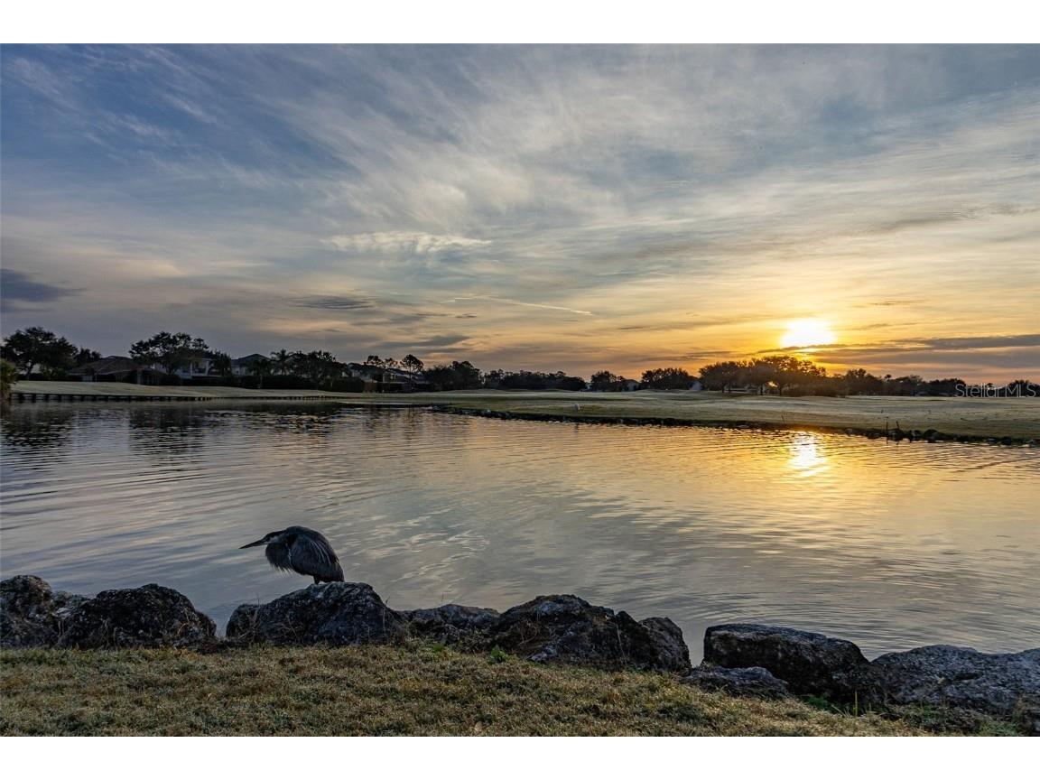 13247 Hatherton Circle Orlando FL 32832 O6358014 image56