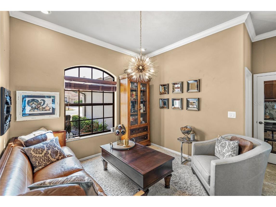 13247 Thoroughbred Drive Dade City FL 33525 TB8451498 image14