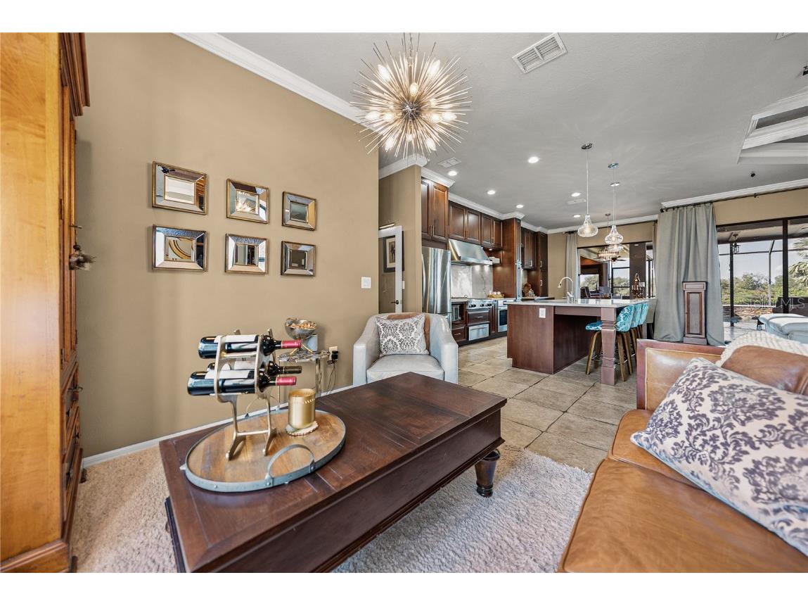 13247 Thoroughbred Drive Dade City FL 33525 TB8451498 image16