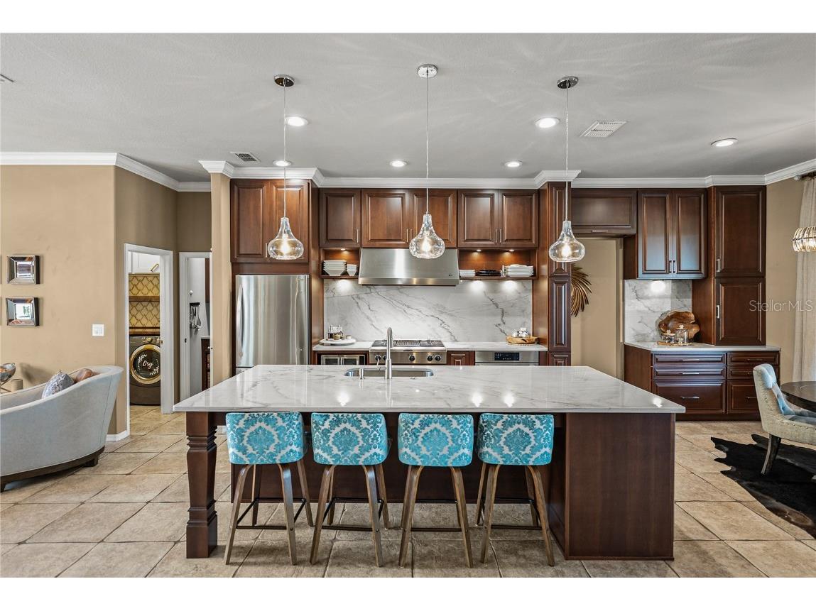 13247 Thoroughbred Drive Dade City FL 33525 TB8451498 image22