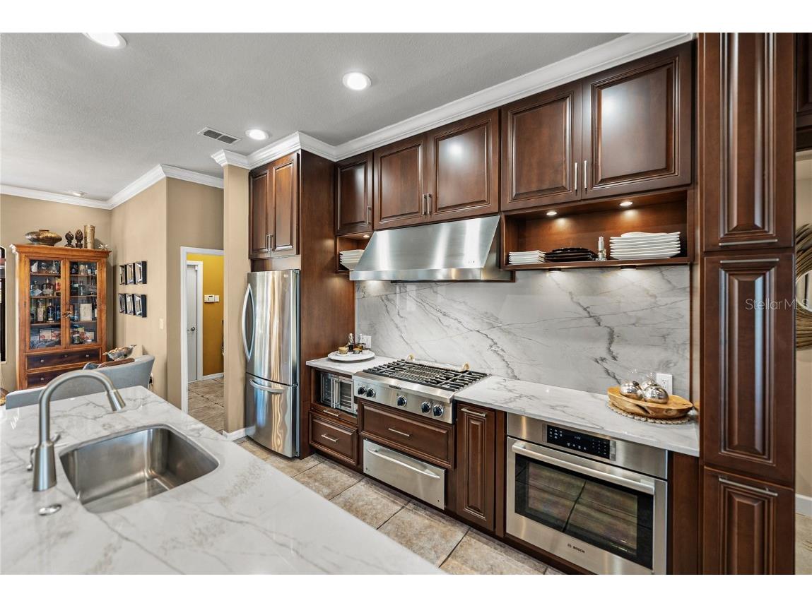 13247 Thoroughbred Drive Dade City FL 33525 TB8451498 image26