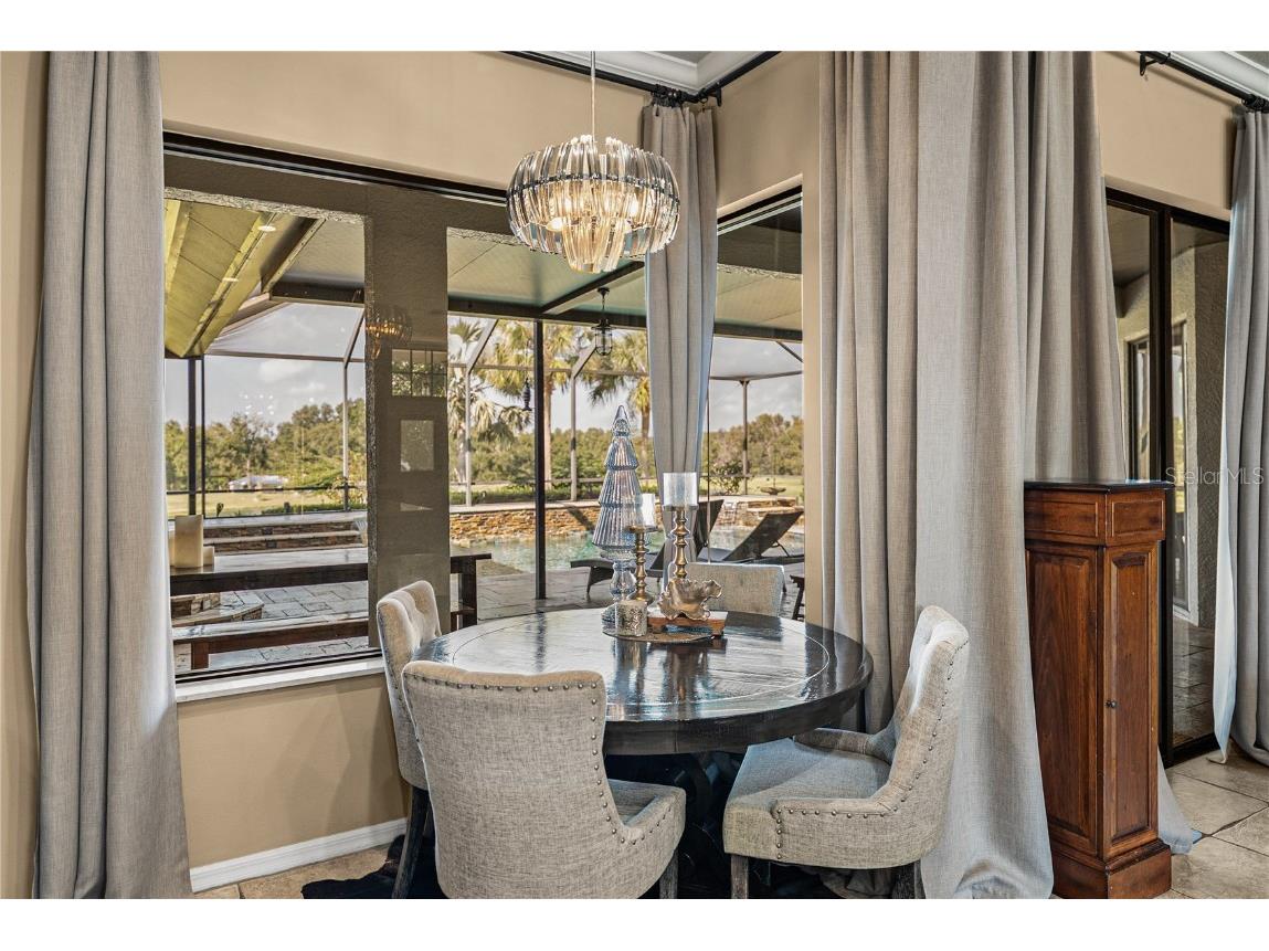 13247 Thoroughbred Drive Dade City FL 33525 TB8451498 image29