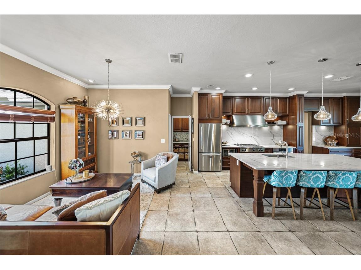 13247 Thoroughbred Drive Dade City FL 33525 TB8451498 image31