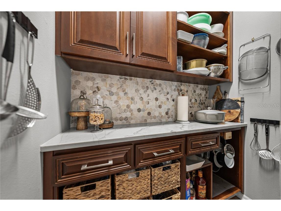 13247 Thoroughbred Drive Dade City FL 33525 TB8451498 image33