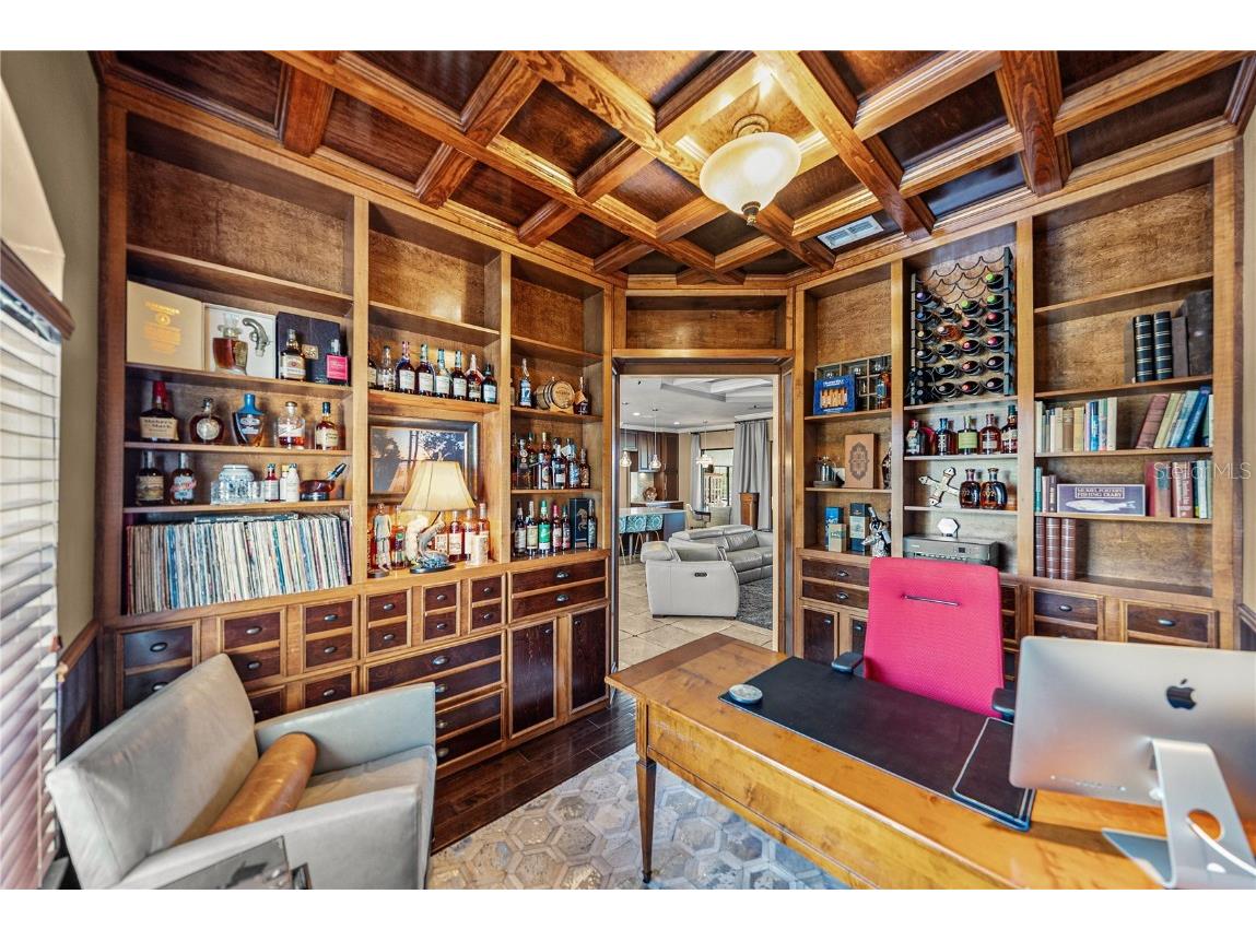 13247 Thoroughbred Drive Dade City FL 33525 TB8451498 image36